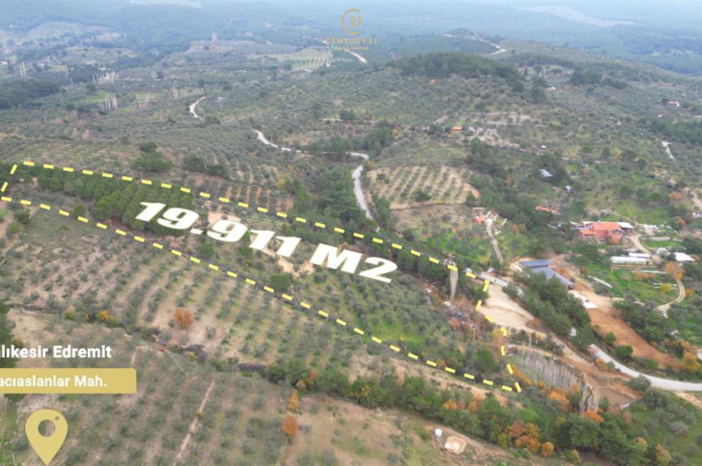 CENTRUY 21 BAL'DAN  EDREMİT HACIASLANLAR MAHALLESİ SATILIK ZEYTİNLİK