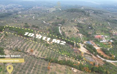 CENTRUY 21 BAL'DAN  EDREMİT HACIASLANLAR MAHALLESİ SATILIK ZEYTİNLİK