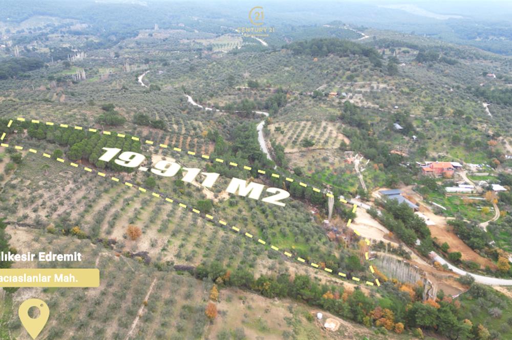 CENTRUY 21 BAL'DAN  EDREMİT HACIASLANLAR MAHALLESİ SATILIK ZEYTİNLİK