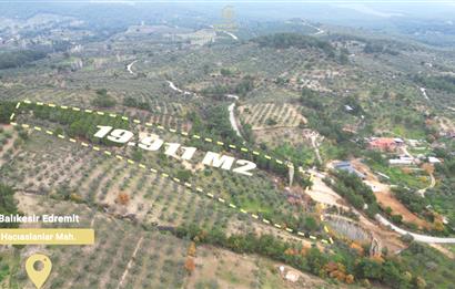 CENTRUY 21 BAL'DAN  EDREMİT HACIASLANLAR MAHALLESİ SATILIK ZEYTİNLİK