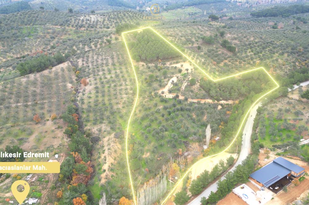 CENTRUY 21 BAL'DAN  EDREMİT HACIASLANLAR MAHALLESİ SATILIK ZEYTİNLİK