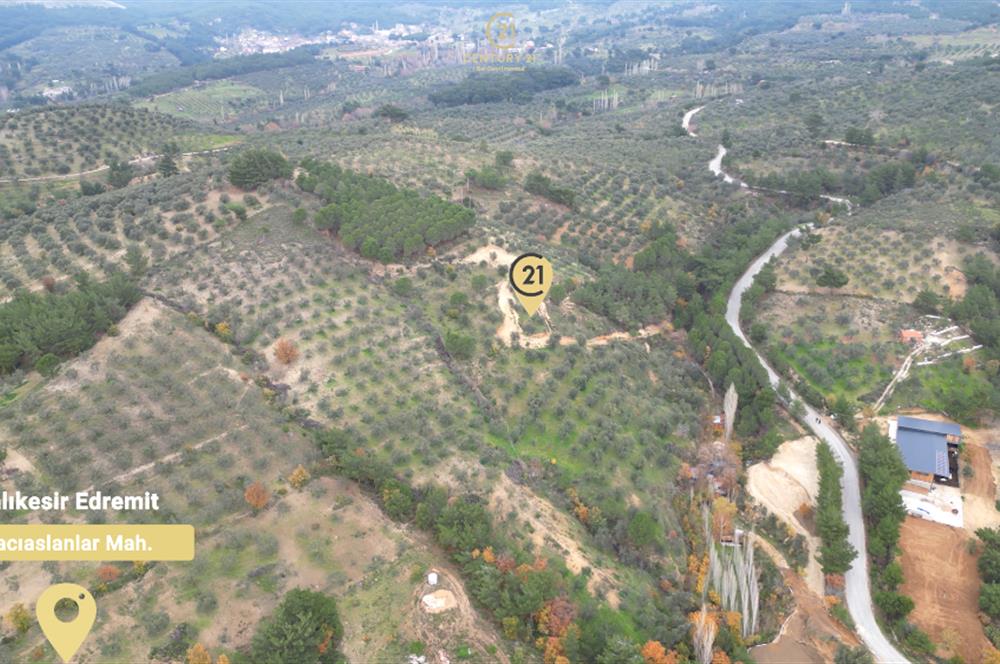CENTRUY 21 BAL'DAN  EDREMİT HACIASLANLAR MAHALLESİ SATILIK ZEYTİNLİK