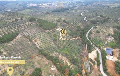 CENTRUY 21 BAL'DAN  EDREMİT HACIASLANLAR MAHALLESİ SATILIK ZEYTİNLİK
