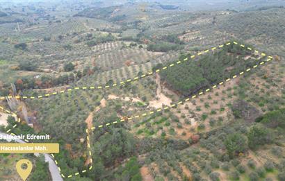 CENTRUY 21 BAL'DAN  EDREMİT HACIASLANLAR MAHALLESİ SATILIK ZEYTİNLİK