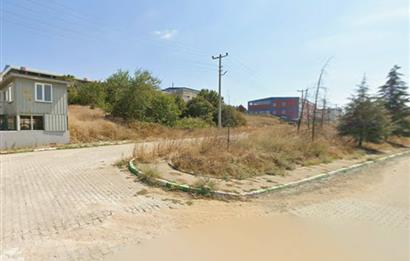 NİLÜFER BADIRGA İHTİSAS DERİ OSB'DE SATILIK FABRİKA ARSASI