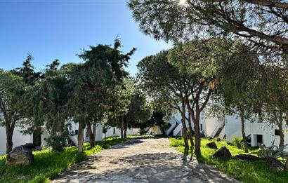 BODRUM AKÇABÜK TATİL KÖYÜNDE 2 DÖNEM SATILIK DEVRE MÜLK