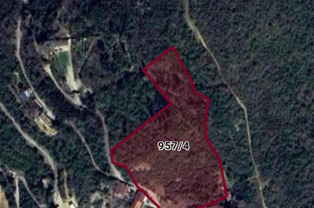 Sarıyer Rumelikavağında 12.800 m² Tek Parsel | Yatırımlık Arazi