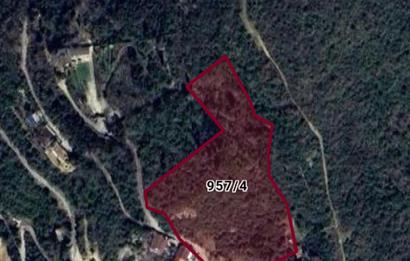 Sarıyer Rumelikavağında 12.800 m² Tek Parsel | Yatırımlık Arazi