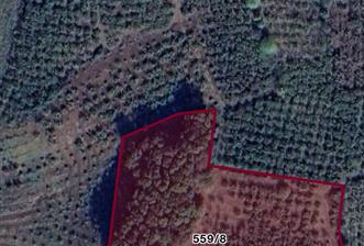 SAKARYA / FERİZLİ OZMANAĞA  ÇİFTLİK MAHALLESİ SATILIK  TARLA / FINDIK BAHÇESİ - 2 - 30842