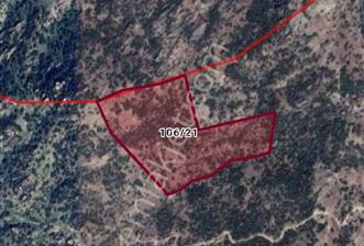 Aydın Söke Köprüalan Da Yatırım Fırsatı Zeytinlik - 1 - 30844