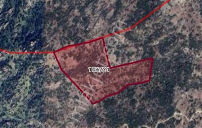 Aydın Söke Köprüalan Da Yatırım Fırsatı Zeytinlik