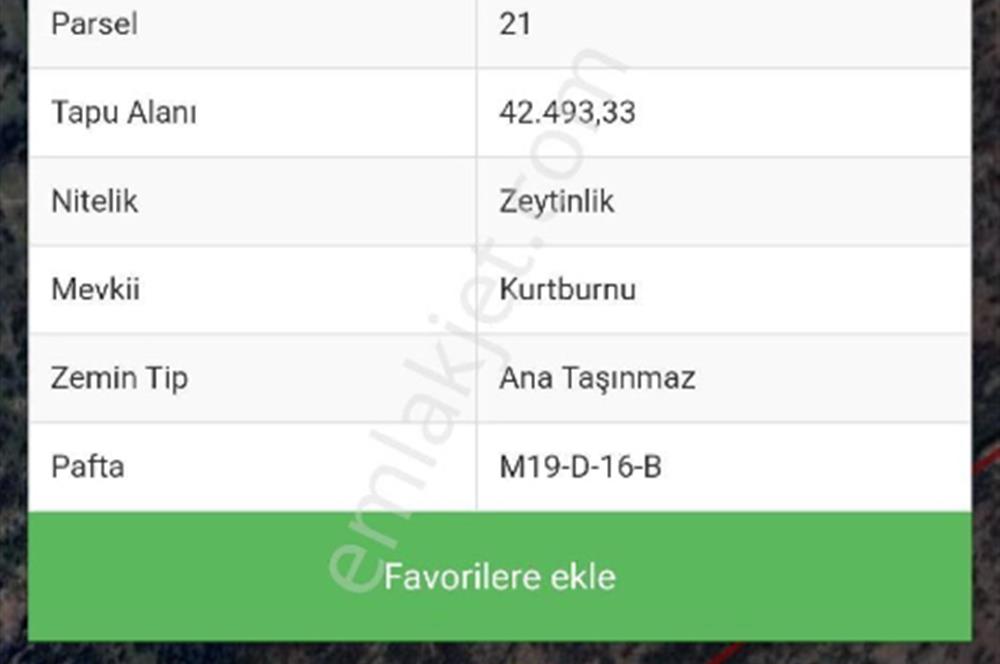 Aydın Söke Köprüalan Da Yatırım Fırsatı Zeytinlik