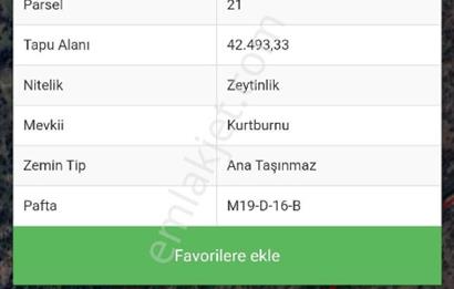 Aydın Söke Köprüalan Da Yatırım Fırsatı Zeytinlik