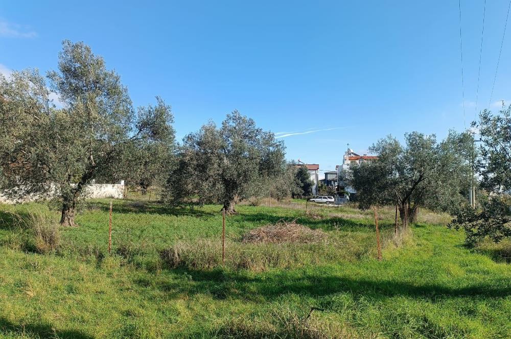 EDREMİT ÇAMLIBEL'DE VİLLA İMARLI SATILIK ARSA