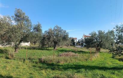 EDREMİT ÇAMLIBEL'DE VİLLA İMARLI SATILIK ARSA