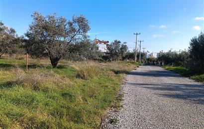 EDREMİT ÇAMLIBEL'DE VİLLA İMARLI SATILIK ARSA