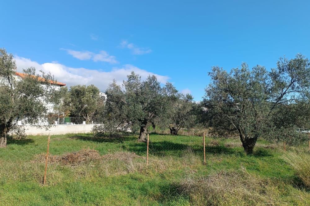 EDREMİT ÇAMLIBEL'DE VİLLA İMARLI SATILIK ARSA