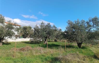 EDREMİT ÇAMLIBEL'DE VİLLA İMARLI SATILIK ARSA