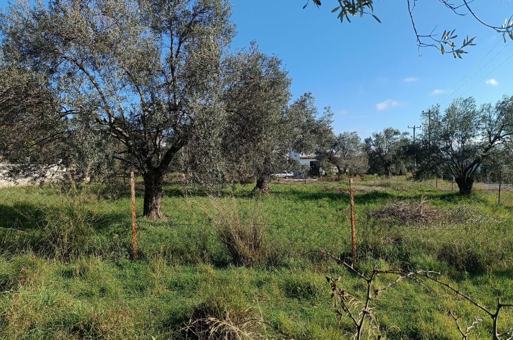 EDREMİT ÇAMLIBEL'DE VİLLA İMARLI SATILIK ARSA