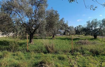 EDREMİT ÇAMLIBEL'DE VİLLA İMARLI SATILIK ARSA