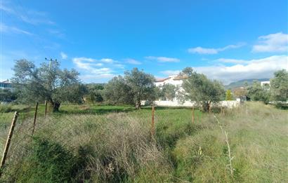 EDREMİT ÇAMLIBEL'DE VİLLA İMARLI SATILIK ARSA