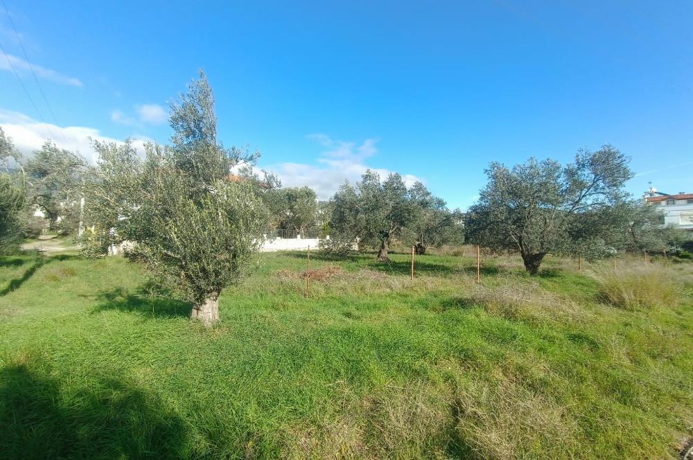 EDREMİT ÇAMLIBEL'DE VİLLA İMARLI SATILIK ARSA