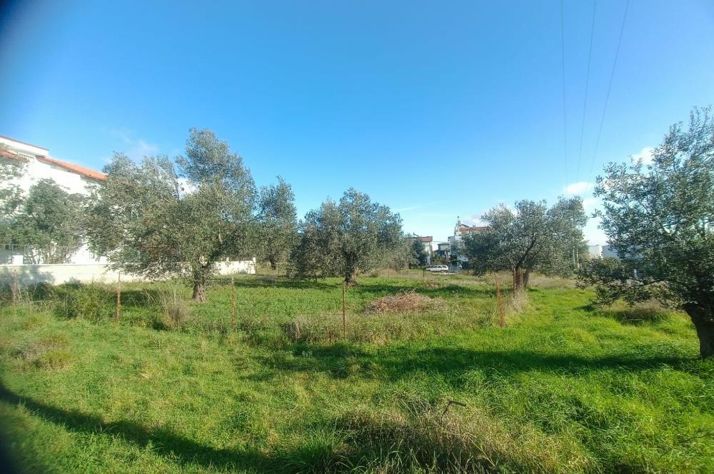 EDREMİT ÇAMLIBEL'DE VİLLA İMARLI SATILIK ARSA