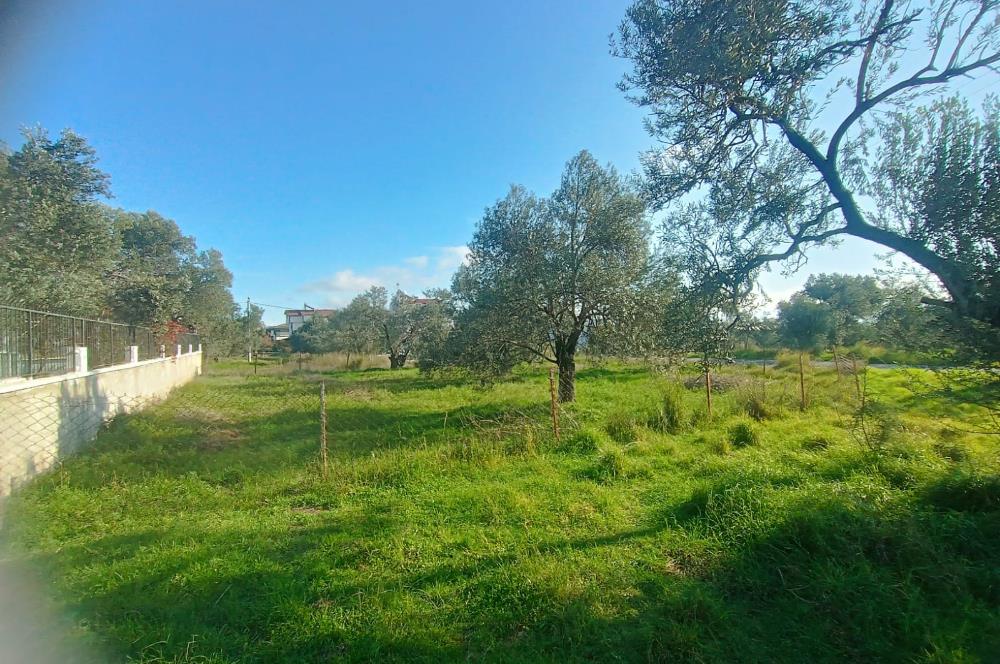 EDREMİT ÇAMLIBEL'DE VİLLA İMARLI SATILIK ARSA