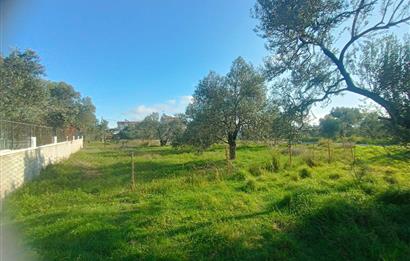 EDREMİT ÇAMLIBEL'DE VİLLA İMARLI SATILIK ARSA