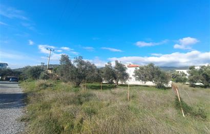 EDREMİT ÇAMLIBEL'DE VİLLA İMARLI SATILIK ARSA