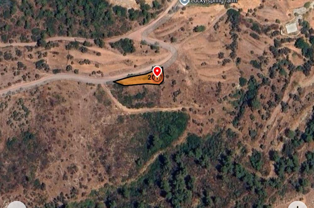 Bodrum Gokpinar kadastral yola sıfır köyiçi satılık tarla