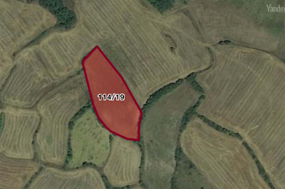 PRİM POTANSİYELLİ BURSA MUSTAFAKEMALPAŞA 5.700 M2 TARLA