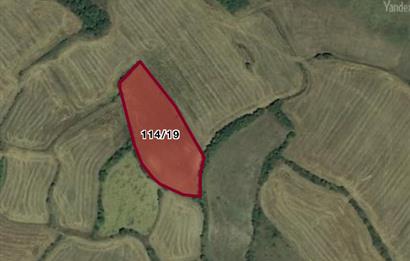 PRİM POTANSİYELLİ BURSA MUSTAFAKEMALPAŞA 5.700 M2 TARLA