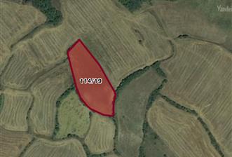 PRİM POTANSİYELLİ BURSA MUSTAFAKEMALPAŞA 5.700 M2 TARLA - 1 - 30921