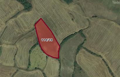 PRİM POTANSİYELLİ BURSA MUSTAFAKEMALPAŞA 5.700 M2 TARLA