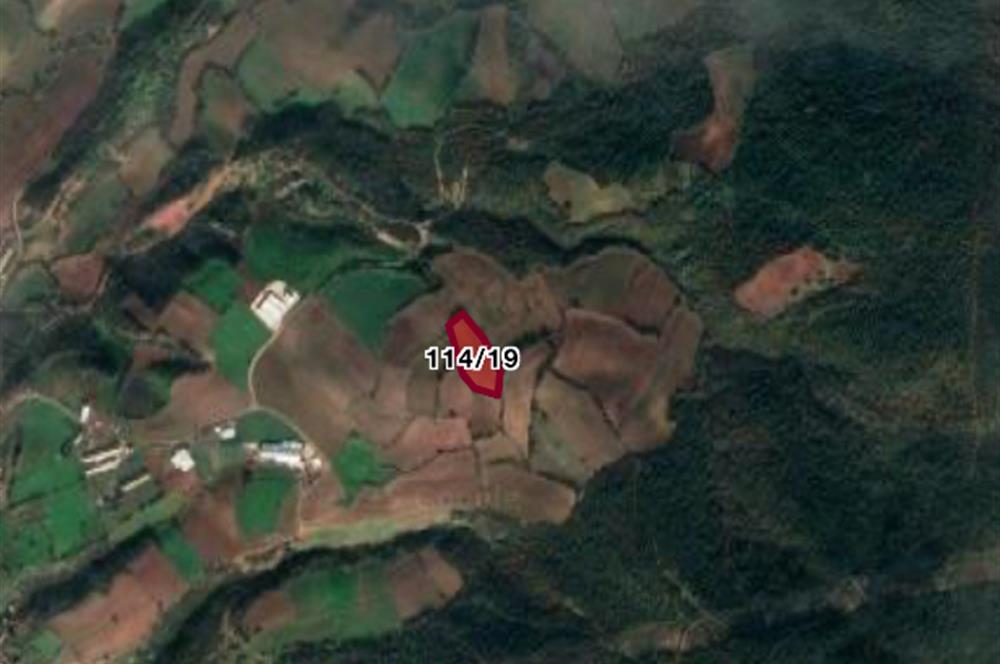 PRİM POTANSİYELLİ BURSA MUSTAFAKEMALPAŞA 5.700 M2 TARLA