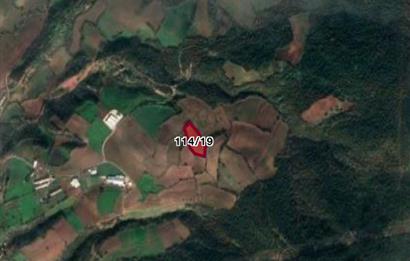 PRİM POTANSİYELLİ BURSA MUSTAFAKEMALPAŞA 5.700 M2 TARLA