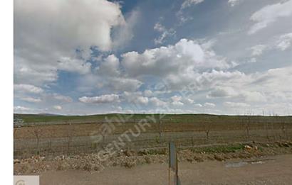 İHSANİYE YAYLABAĞI'NDA SATILIK IMARLI ARSA