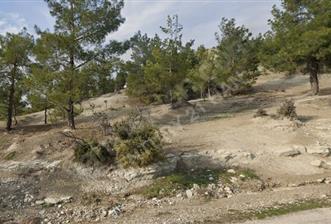 MERSİN MUT ÇORTAK MAH. GES YAPMAYA UYGUN MARJİNALİ ALINMIŞ TARLA - 1 - 30905