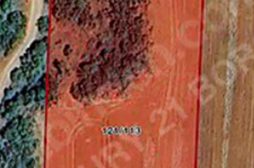 Çatalca'da 7.932 m² Stratejik Konumlu Yatırımlık Arsa!!!