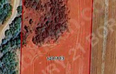 Çatalca'da 7.932 m² Stratejik Konumlu Yatırımlık Arsa!!!