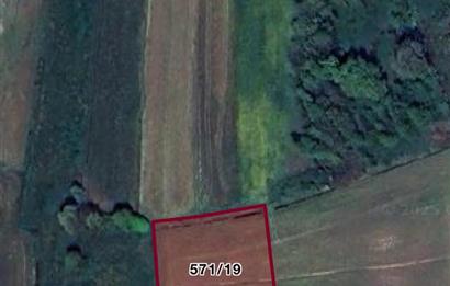 FERİZLİ / TEBERİK MAH. SATILIK ARSA