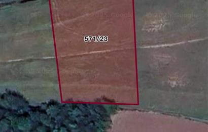 FERİZLİ/ TEBERİK MAH.