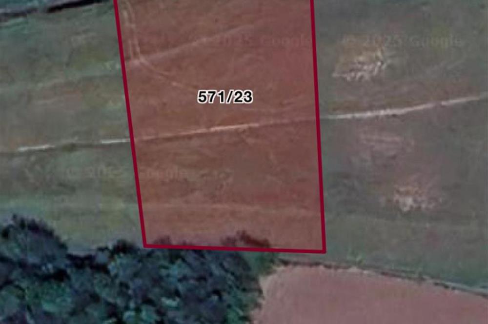 FERİZLİ/ TEBERİK MAH.