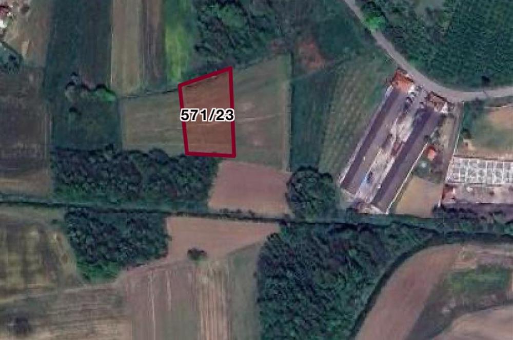 FERİZLİ/ TEBERİK MAH.