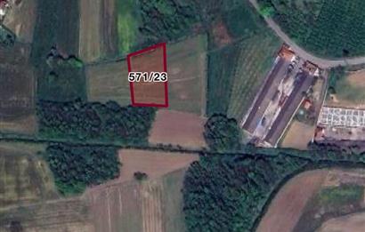 FERİZLİ/ TEBERİK MAH.