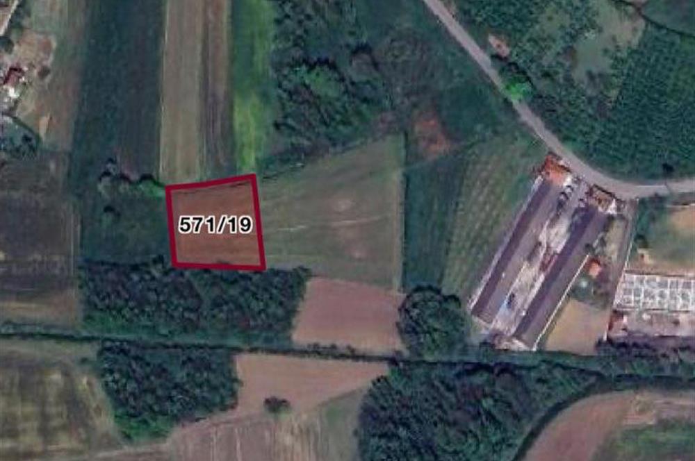 FERİZLİ / TEBERİK MAH. SATILIK ARSA