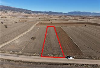 KORKUTELİ KEVSER 2.513m2 YOLA SIFIR TARLA EMSALLERİNİN EN UYGUNU - 2 - 30890