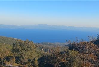 Bodrum Mazı lebiderya deniz manzaralı küçük parsel satılık tarla - 1 - 30932
