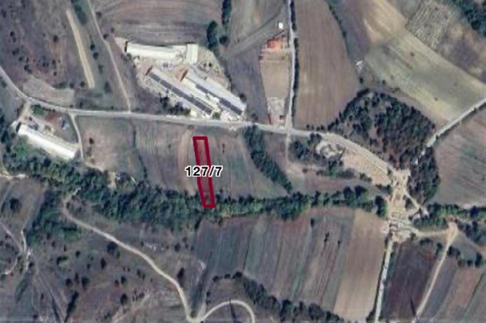 KANDIRA'DA GELECEĞİ OLAN 1747 M2 YATIRIMLIK TARLA